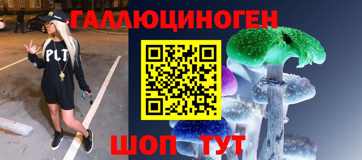 Псилоцибиновые грибы мицелий Лесной